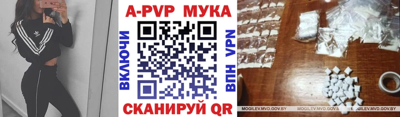 Альфа ПВП СК  Любим 