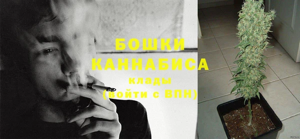 бошки Лабытнанги