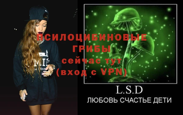 молекула духа Кулебаки