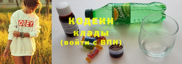 бошки Лабытнанги